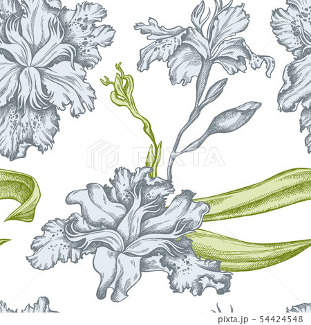 Seamless pattern with hand drawn pastel iris japonica Seamless pattern with hand drawn pastel iris japonica 54424548