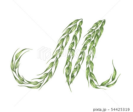 Letter m, alphabet of green leaves. Watercolor. 54425319