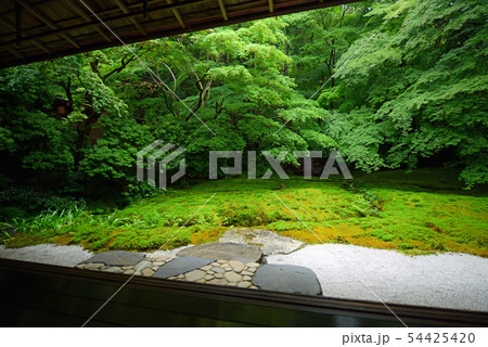 八瀬 瑠璃光院 八瀬 瑠璃光院 54425420