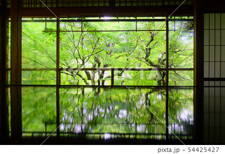 八瀬 瑠璃光院 八瀬 瑠璃光院 54425427