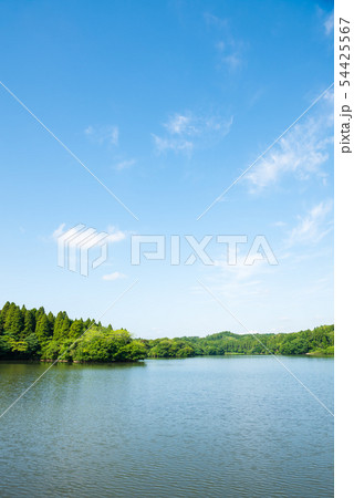 雄蛇ヶ池 おじゃがいけ 新緑と青空の風景 （千葉県東金市） 2019年6月撮影 54425567