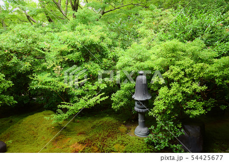 八瀬 瑠璃光院 八瀬 瑠璃光院 54425677