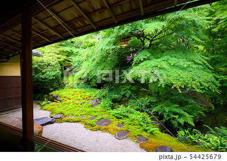 八瀬 瑠璃光院 八瀬 瑠璃光院 54425679