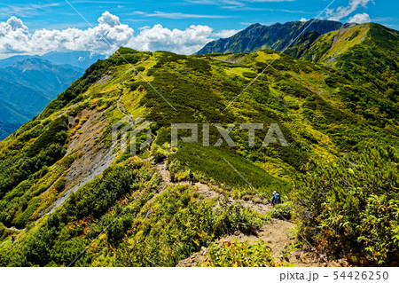 北アルプス・弓折岳稜線の登山道と笠ヶ岳への山並み 54426250