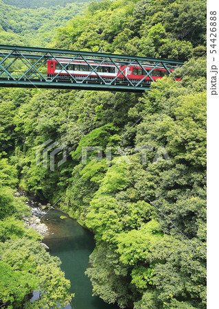 新緑の箱根登山鉄道 54426888