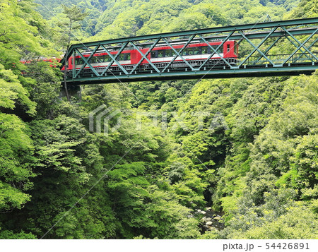 新緑の箱根登山鉄道 新緑の箱根登山鉄道 54426891