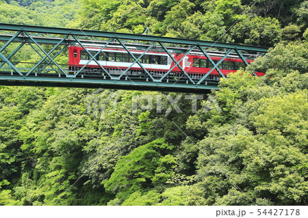 新緑の箱根登山鉄道 新緑の箱根登山鉄道 54427178