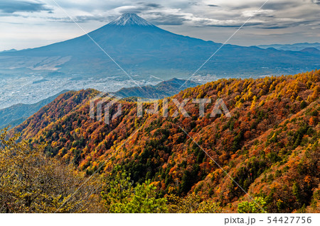 三ツ峠から見る紅葉の尾根と富士山 54427756
