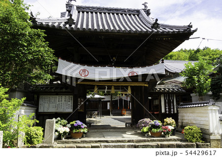 安養寺　山門　岡山県倉敷市浅原 54429617