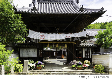 安養寺 山門 岡山県倉敷市浅原 安養寺 山門 岡山県倉敷市浅原 54429620