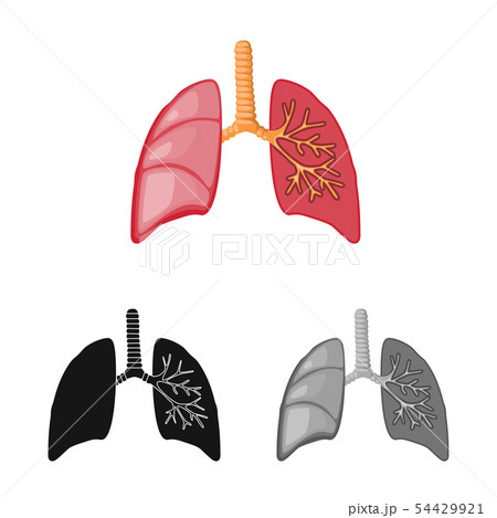 Vector design of biology and scientific sign. Set of biology and laboratory stock vector 54429921