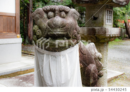 茨木市阿為神社の狛犬 54430245