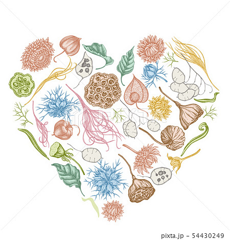 Heart floral design with pastel black caraway, feather grass, helichrysum, lotus, lunaria, physalis 54430249