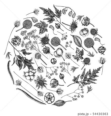 Round floral design with black and white astilbe, craspedia, blue eryngo, lagurus, cotton 54430363
