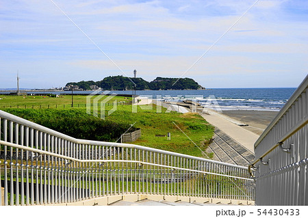 6月 江ノ島114湘南海岸公園と江の島 6月 江ノ島114湘南海岸公園と江の島 54430433
