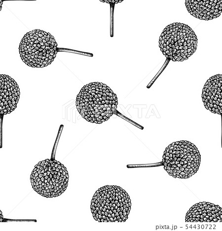 Seamless pattern with black and white craspedia 54430722