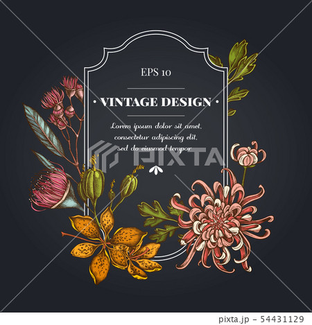 Dark badge design with japanese chrysanthemum, blackberry lily, eucalyptus flower 54431129