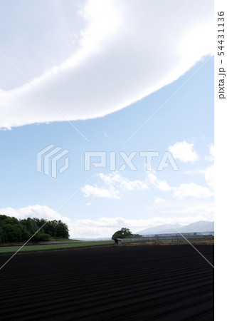 風景写真 おーい雲よ 小岩井農場のデントコーン畑 岩手県小岩井の耕されたトウモロコシ畑 風景写真 おーい雲よ 小岩井農場のデントコーン畑 岩手県小岩井の耕されたトウモロコシ畑 54431136