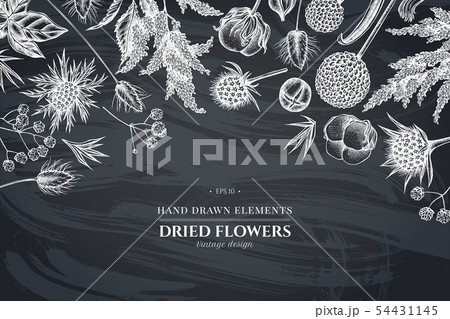 Floral design with chalk astilbe, craspedia, blue eryngo, lagurus, cotton, gypsophila Floral design with chalk astilbe, craspedia, blue eryngo, lagurus, cotton, gypsophila 54431145