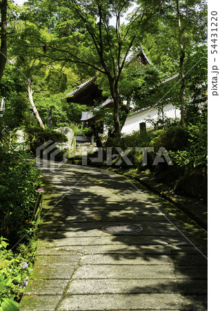 安養寺 脇参道からの山門 岡山県倉敷市浅原 安養寺 脇参道からの山門 岡山県倉敷市浅原 54431220