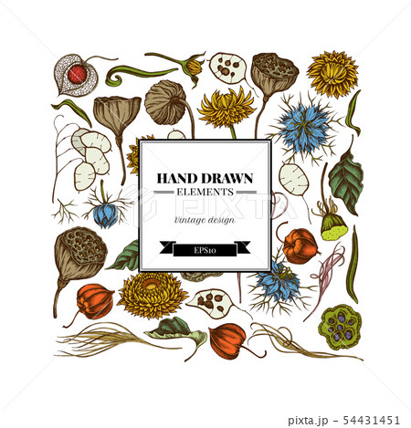 Square floral design with colored black caraway, feather grass, helichrysum, lotus, lunaria 54431451