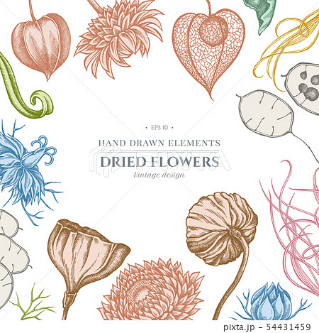 Floral design with pastel black caraway, feather grass, helichrysum, lotus, lunaria, physalis 54431459