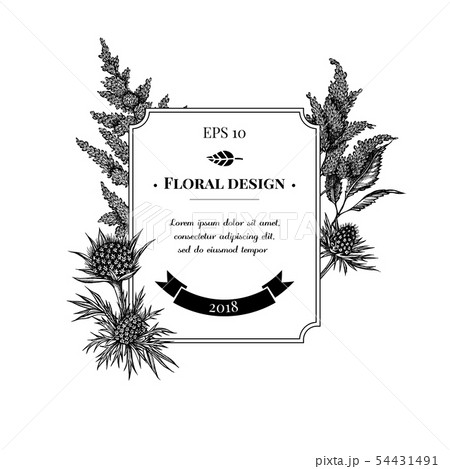 Badge design with black and white astilbe, craspedia, blue eryngo 54431491