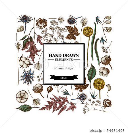 Square floral design with colored astilbe, craspedia, blue eryngo, lagurus, cotton, gypsophila 54431493