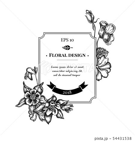 Badge Design With Black And White Impatiens のイラスト素材