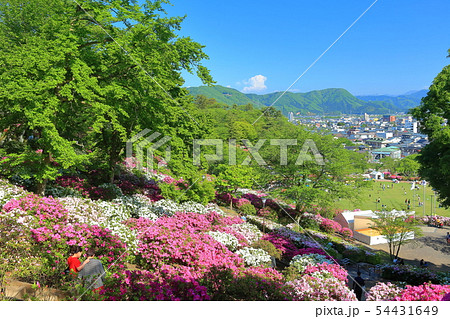 【福井県】晴天下の西山公園つつじまつり 54431649