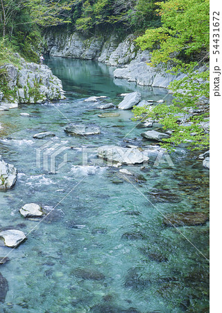 清流 貞光川 54431672