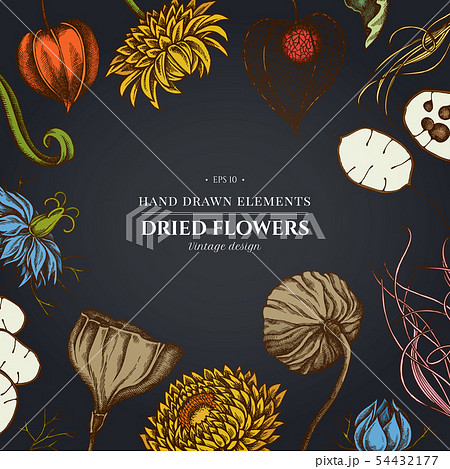Floral design on dark background with black caraway, feather grass, helichrysum, lotus, lunaria 54432177