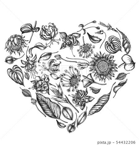 Heart floral design with black and white african daisies, fuchsia, gloriosa, king protea, anthurium Heart floral design with black and white african daisies, fuchsia, gloriosa, king protea, anthurium 54432206