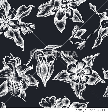 Seamless pattern with hand drawn chalk aquilegia Seamless pattern with hand drawn chalk aquilegia 54432211