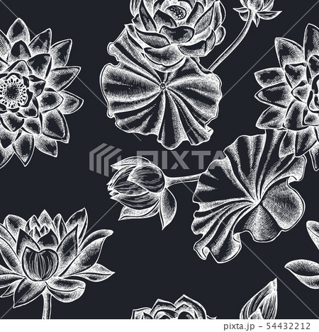 Seamless pattern with hand drawn chalk lotus 54432212