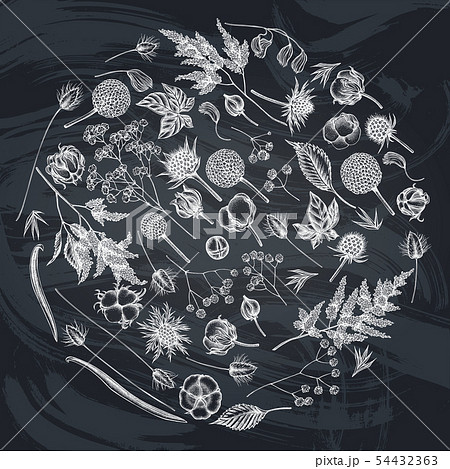 Round floral design with chalk astilbe, craspedia, blue eryngo, lagurus, cotton, gypsophila 54432363