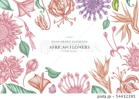 Floral design with pastel african daisies, fuchsia, gloriosa, king protea, anthurium, strelitzia Floral design with pastel african daisies, fuchsia, gloriosa, king protea, anthurium, strelitzia 54432395