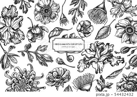 Floral design with black and white japanese chrysanthemum, blackberry lily, eucalyptus flower Floral design with black and white japanese chrysanthemum, blackberry lily, eucalyptus flower 54432432