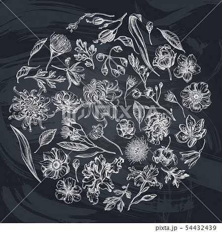 Round floral design with chalk japanese chrysanthemum, blackberry lily, eucalyptus flower, anemone 54432439