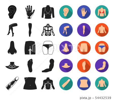 Part of the body, limb black,flat icons in set collection for design. Human anatomy vector symbol 54432539