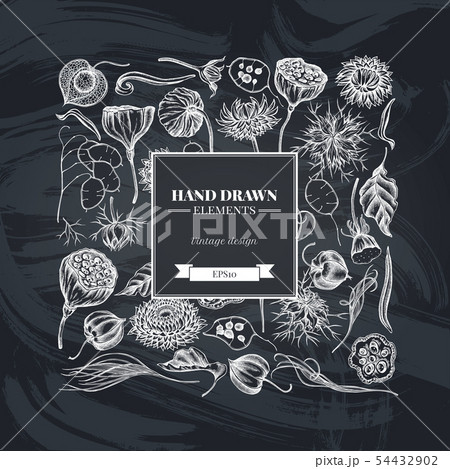 Square floral design with chalk black caraway, feather grass, helichrysum, lotus, lunaria, physalis Square floral design with chalk black caraway, feather grass, helichrysum, lotus, lunaria, physalis 54432902