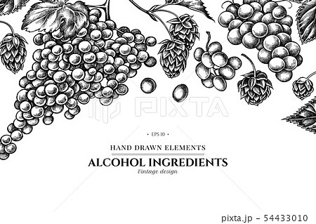 Floral design with black and white grapes, hop 54433010