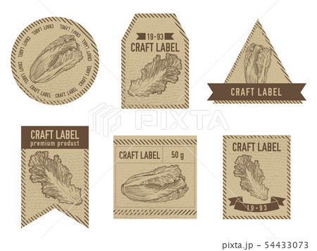Craft labels vintage design with illustration of chinese cabbage 54433073