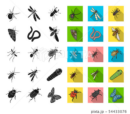 Different kinds of insects black,flat icons in set collection for design. Insect arthropod vector Different kinds of insects black,flat icons in set collection for design. Insect arthropod vector 54433076