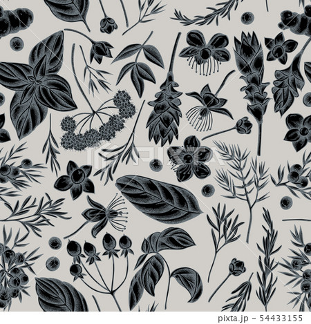 Seamless pattern with hand drawn stylized angelica, basil, juniper, hypericum, rosemary, turmeric 54433155