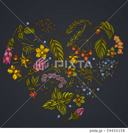 Heart floral design on dark background with angelica, basil, juniper, hypericum, rosemary, turmeric 54433158