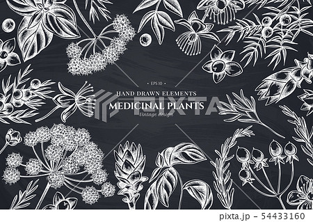 Floral design with chalk angelica, basil, juniper, hypericum, rosemary, turmeric 54433160