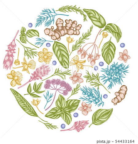 Round floral design with pastel angelica, basil, juniper, hypericum, rosemary, turmeric Round floral design with pastel angelica, basil, juniper, hypericum, rosemary, turmeric 54433164