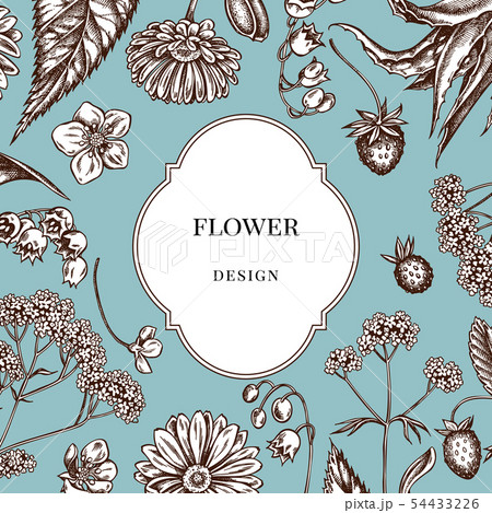 Badge over design with aloe, calendula, lily of the valley, nettle, strawberry, valerian Badge over design with aloe, calendula, lily of the valley, nettle, strawberry, valerian 54433226