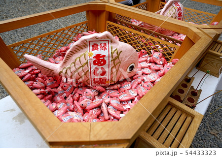 鯛みくじ　川越氷川神社 54433323